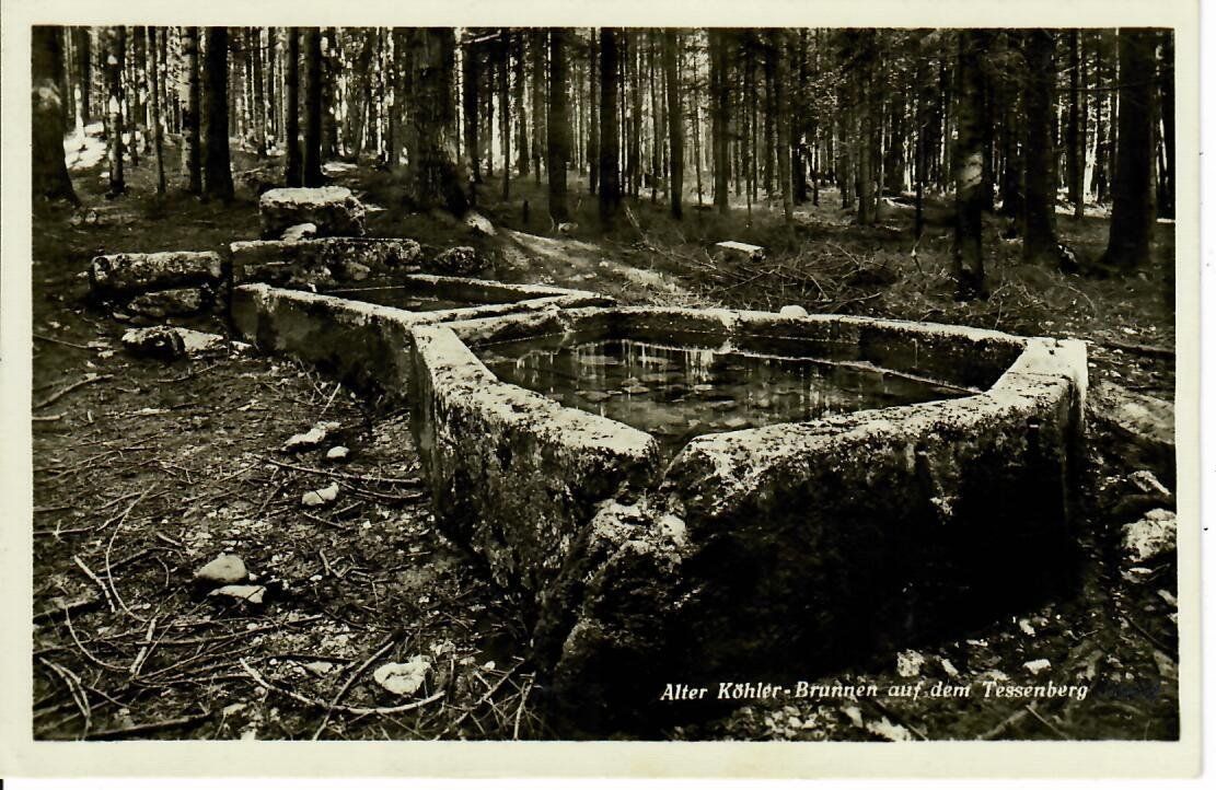 Cartoline postali: alter Köhler Brunnen auf dem Tessenberg – Usato da Hochdorf venduto da Ziegel-16