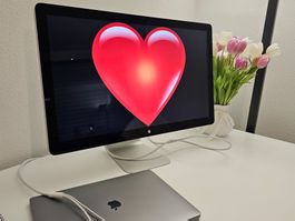 Apple Thunderbolt Display 27" – QHD – Top Zustand