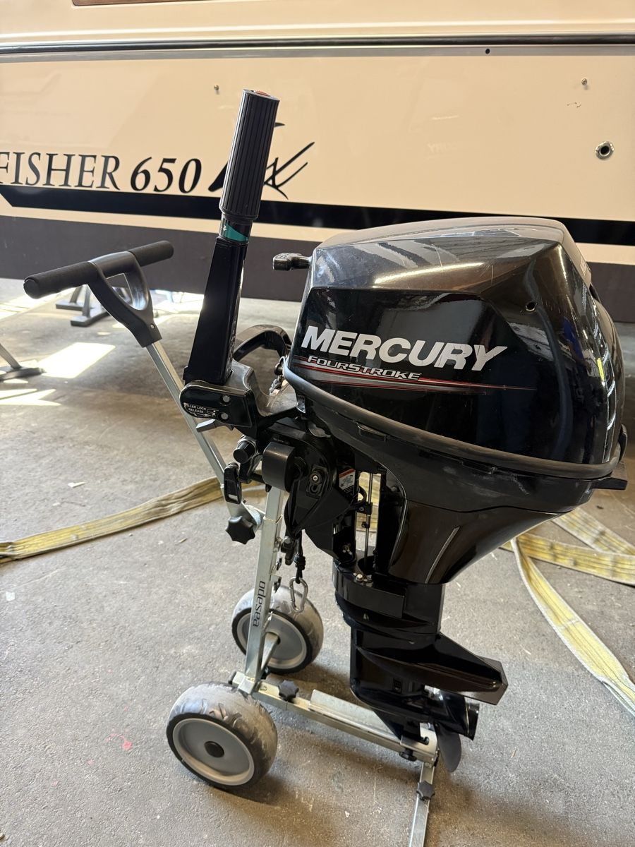 Mercury Motori: Mercury 8 Fourstroke Outboard Engine - Model F8M 2010 – Usato da Kriens venduto da Hugo-6010 4