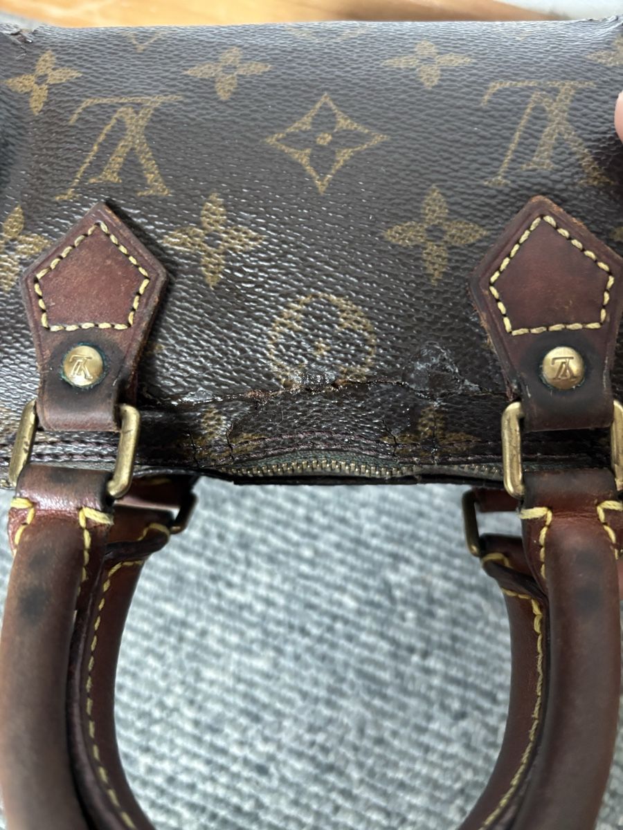 Louis Vuitton Borse da donna: LV mini Speedy – Difettoso da Dübendorf venduto da ame_g69g 5