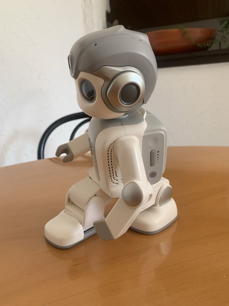Tutte le macchine: Alpha Mini - Roboter – Usato da Sarmenstorf venduto da orbway 2