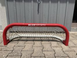 Eishockey Tor Bluesports  