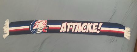 ZSC Lions Schaal