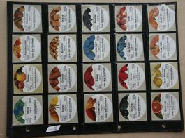 40   verschiedene      Jogurt    Deckeli