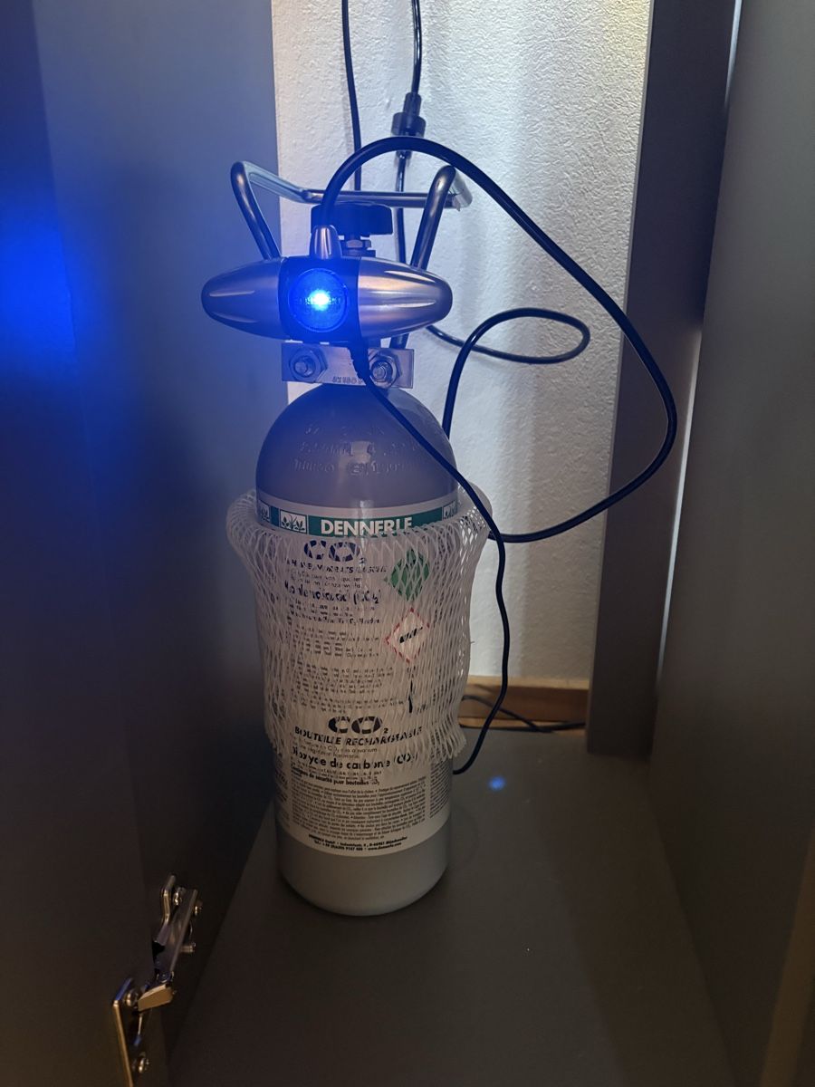 Aquarium: Juwel Aquarium Rio grau 180l – Gebraucht aus Thun von Benthyl 1