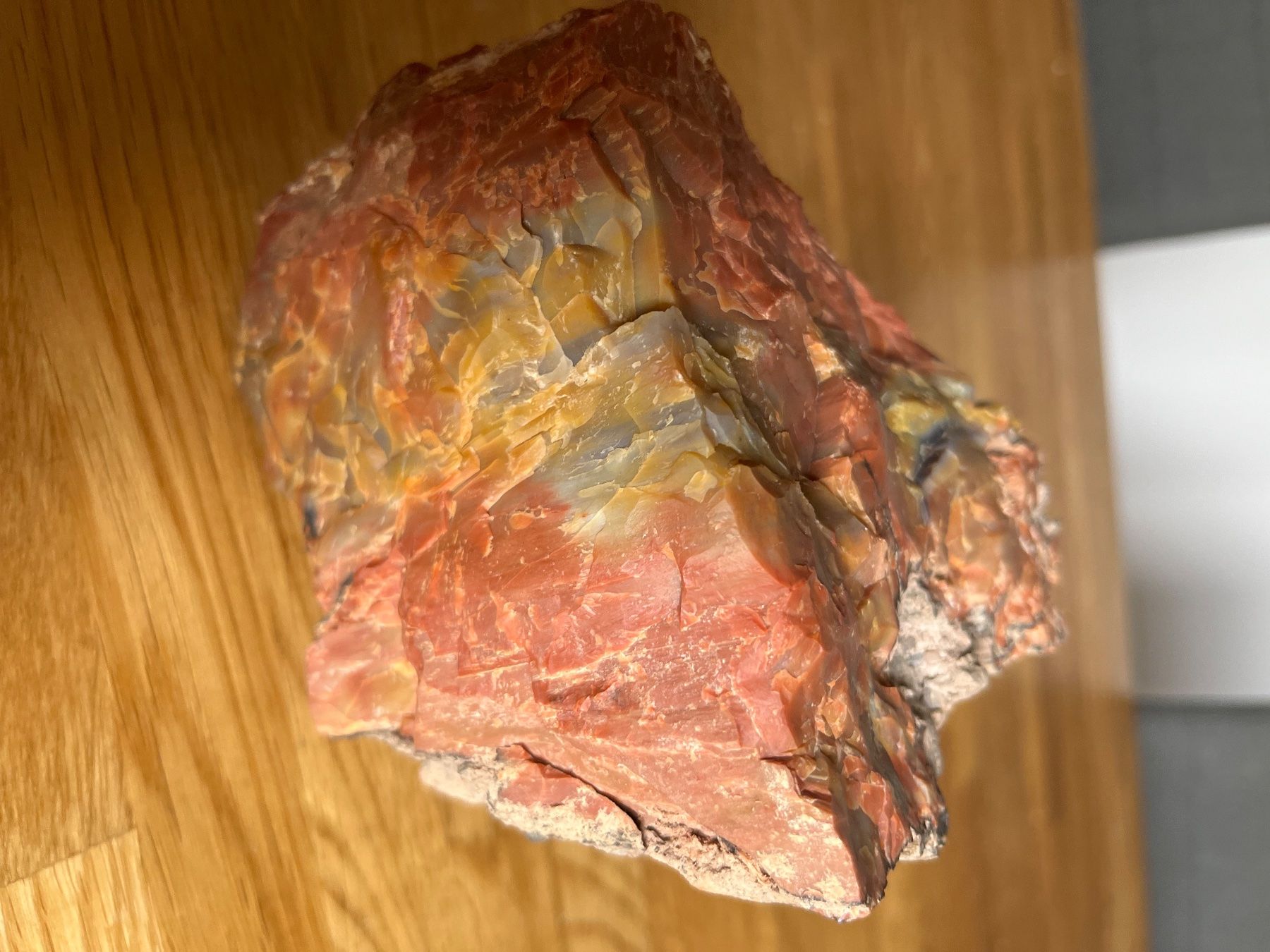 Fossilien: Fossilien – Gebraucht aus Triengen von Wsphinx