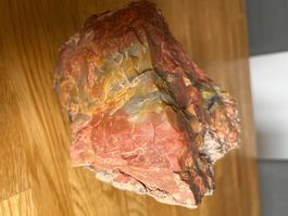 Fossilien