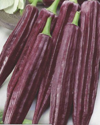 Piante & sementi: OKRA rot, Burgundy/ 10 Samen – Nuovo (secondo la descrizione) da Hinteregg venduto da ERFOLG78
