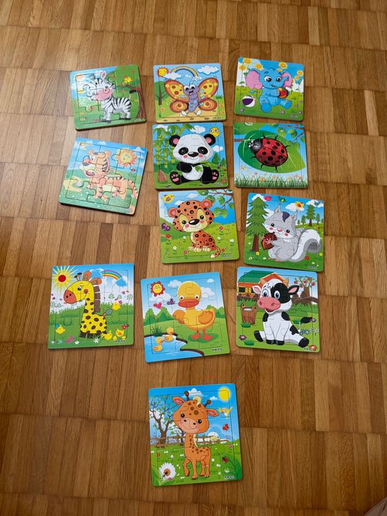 GALPADA Wespen Lebenszyklus Modell 4-teilig | Lehrspielzeug Für Kinder | Biologie Lernspielzeug Bunt