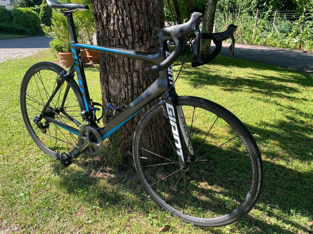 Giant Propel Advanced 0 Gr sse L Kaufen auf Ricardo