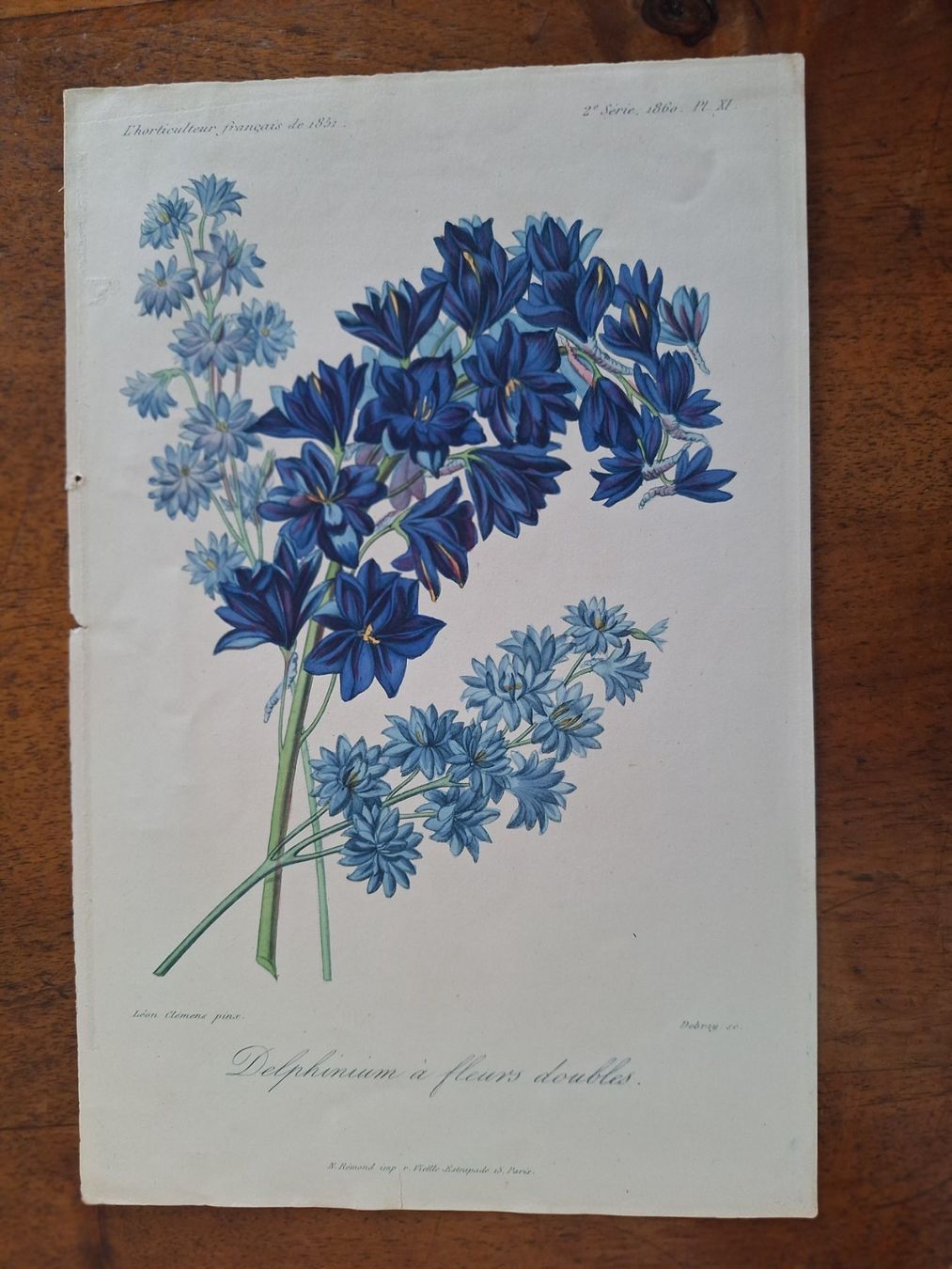 Stiche: FLEURS  6 GRAVURES – Gebraucht aus Bevaix von bohrap 2