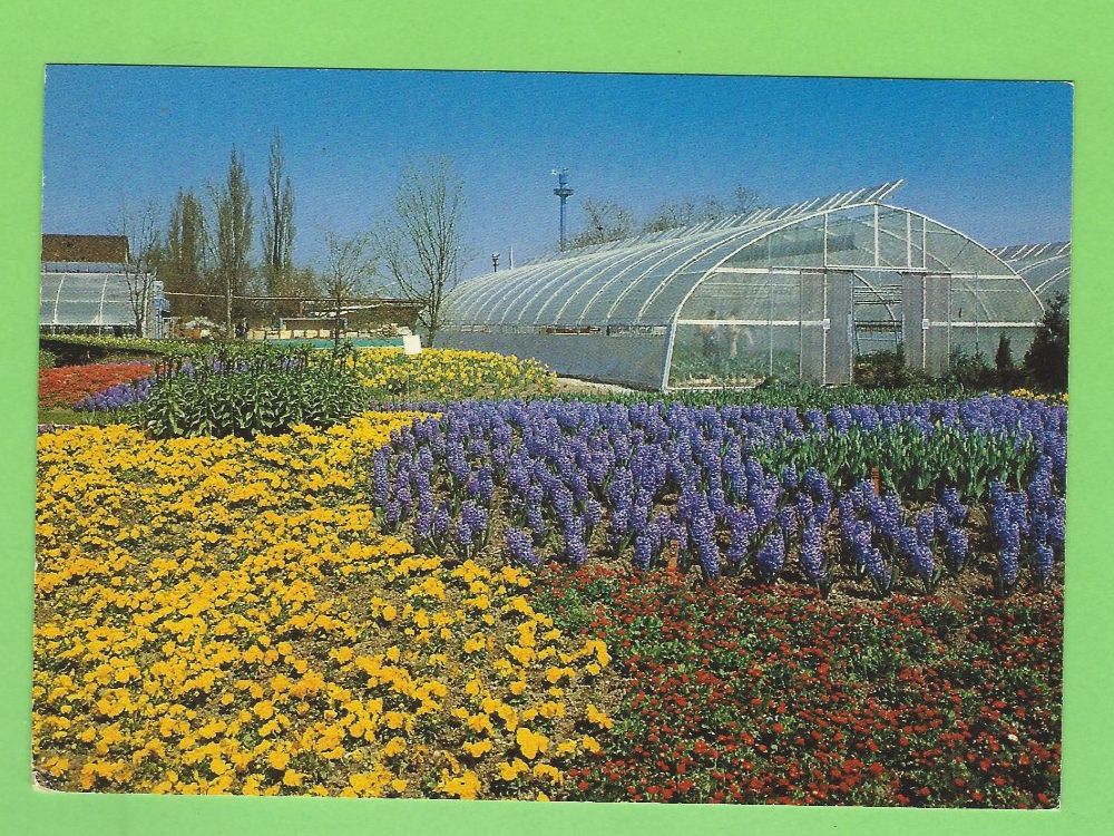 Cartoline postali: Grün 80 Basel – Usato da Zürich venduto da t24_de