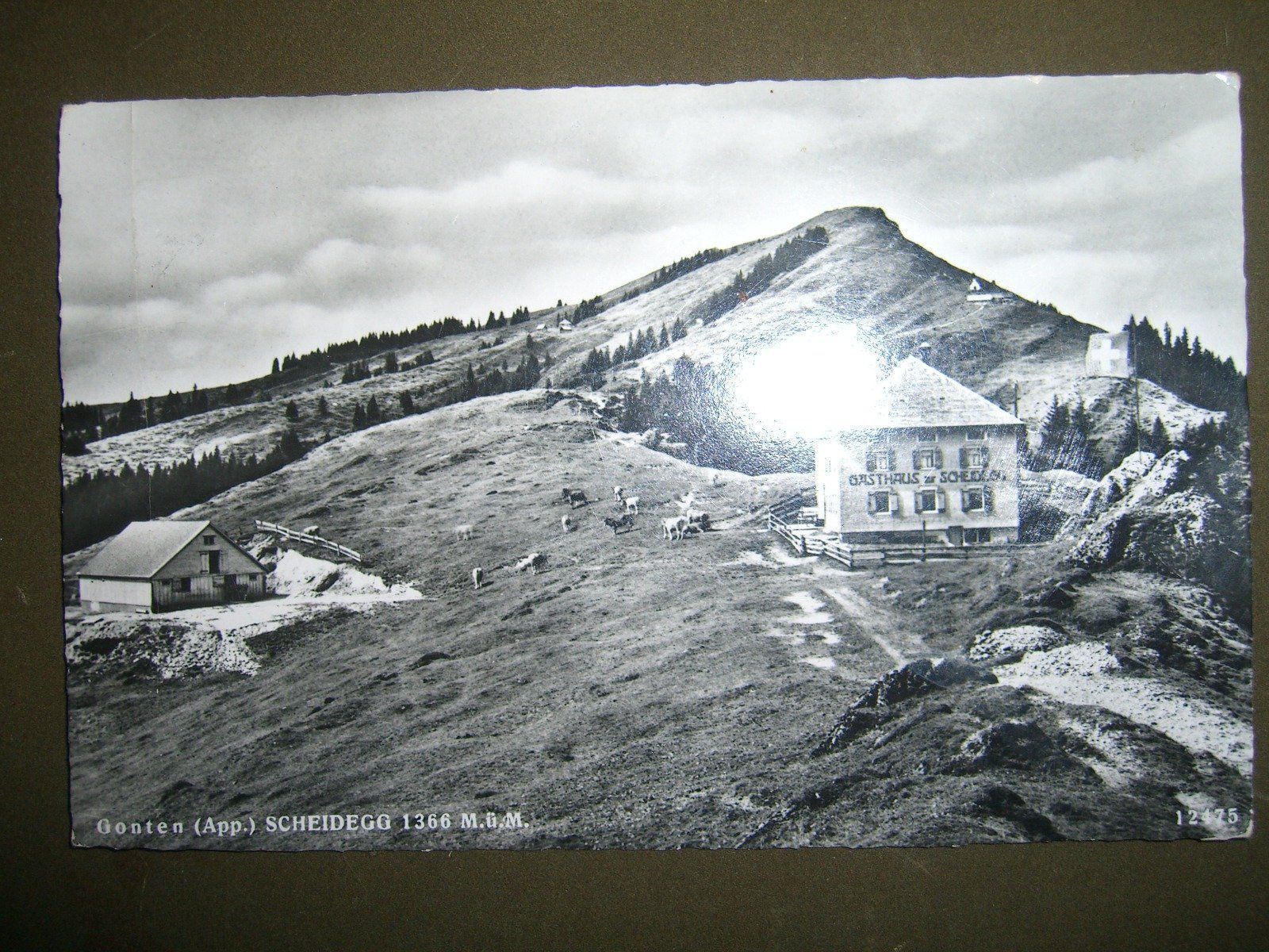 Cartoline postali: Scheidegg – Usato da Bischofszell venduto da Joachim-115