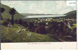 Blick auf Arth und den Zugersee - chevres Ziegen - coloriert