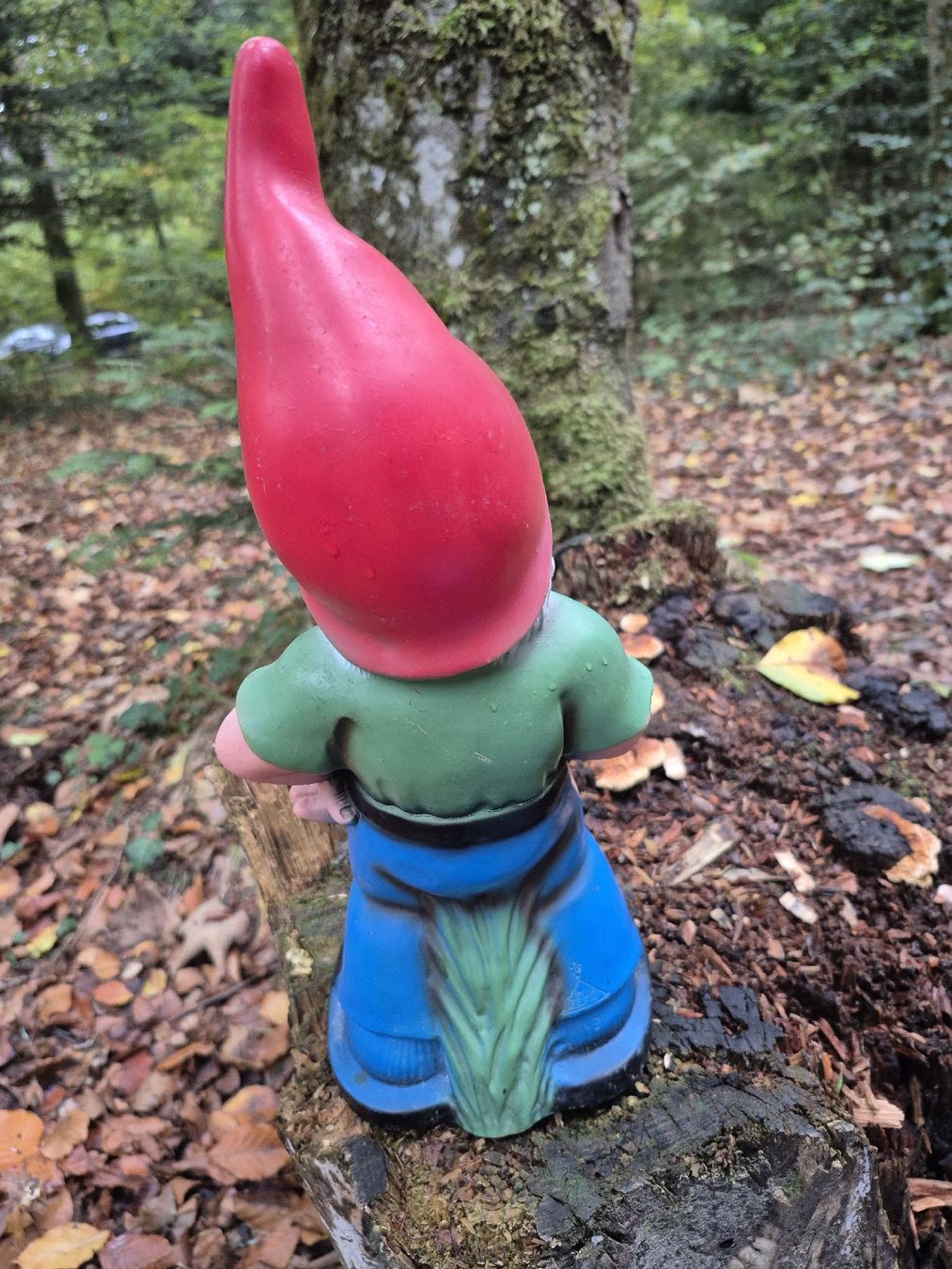 Statuette: Gartenzwerg mit Bierhumpen ZEHO – Usato da Baar venduto da Zwergen-Atelier4 4