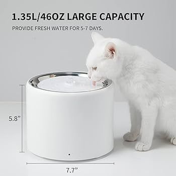 Etangs & Fontaines déco.: Petkit Eversweet 3 – D'occasion à Bulle par Christophe1080 2