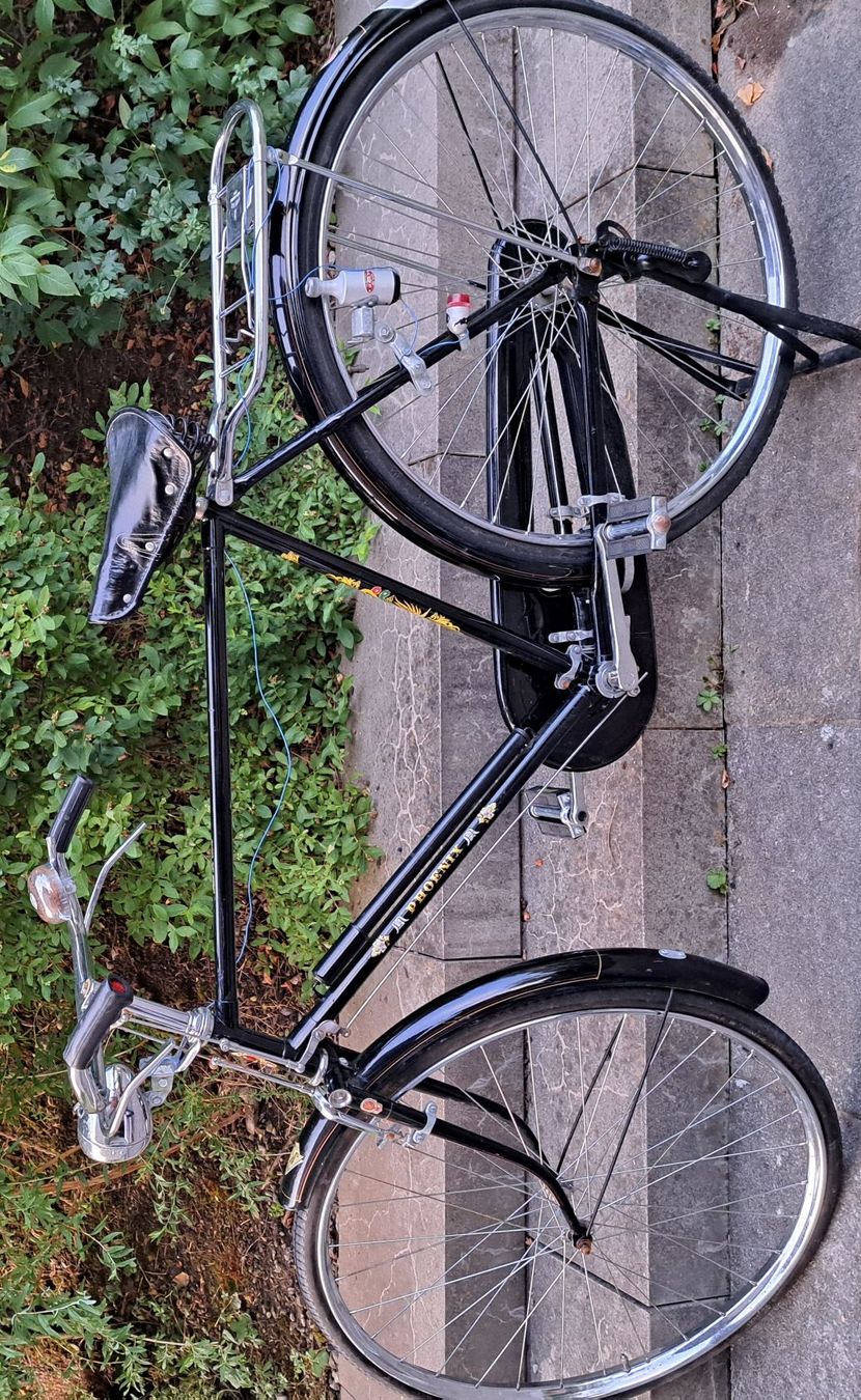 Phoenix Biciclette: Bicicletta Phoenix originale da collezionsiti – Usato da Zurich venduto da Ant_t8xt