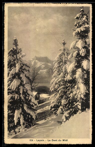 Cartoline postali: AK Leysin, La Dent du Midi – Usato da Berlin venduto da bartko-reher