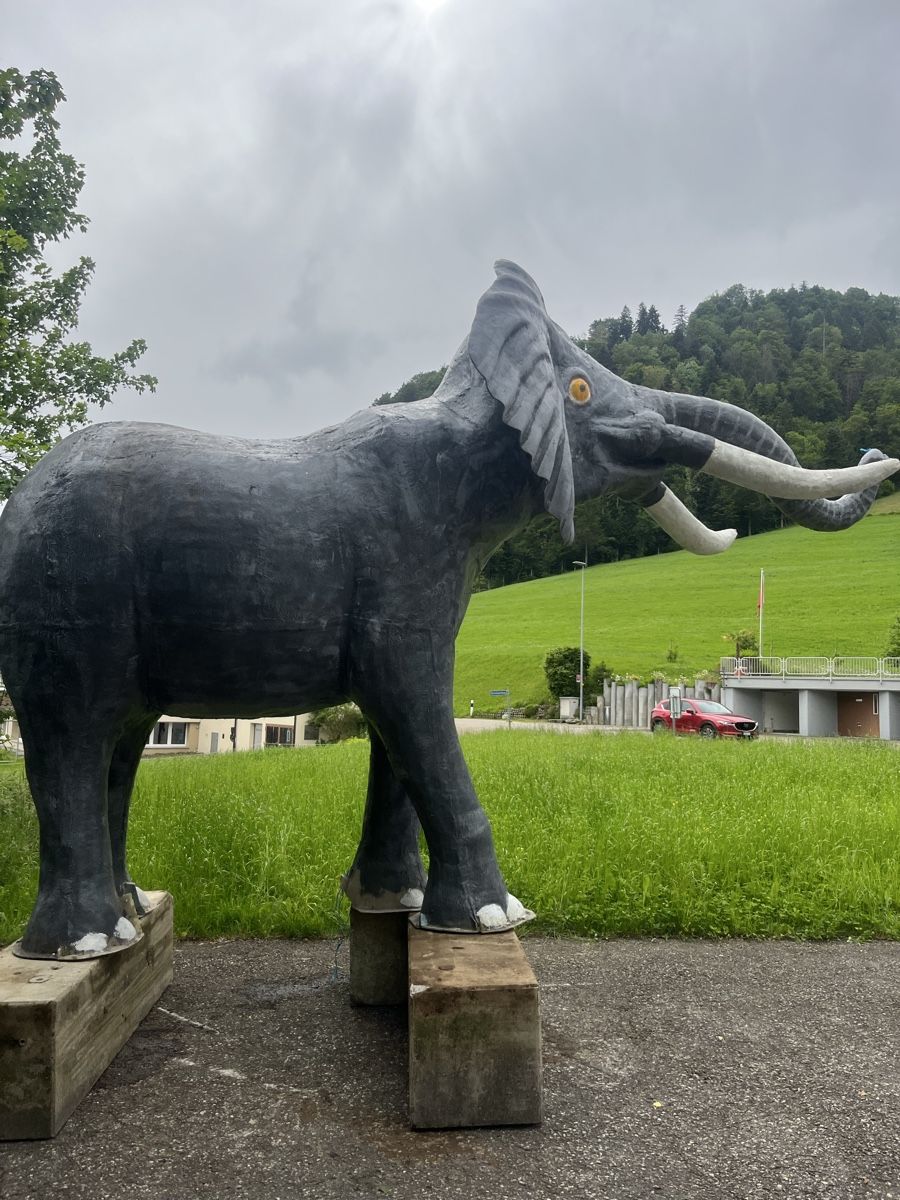 Statuette: Elefant Riesengross 4x3 Meter gross – Usato da Walde SG venduto da buenzli-1 2