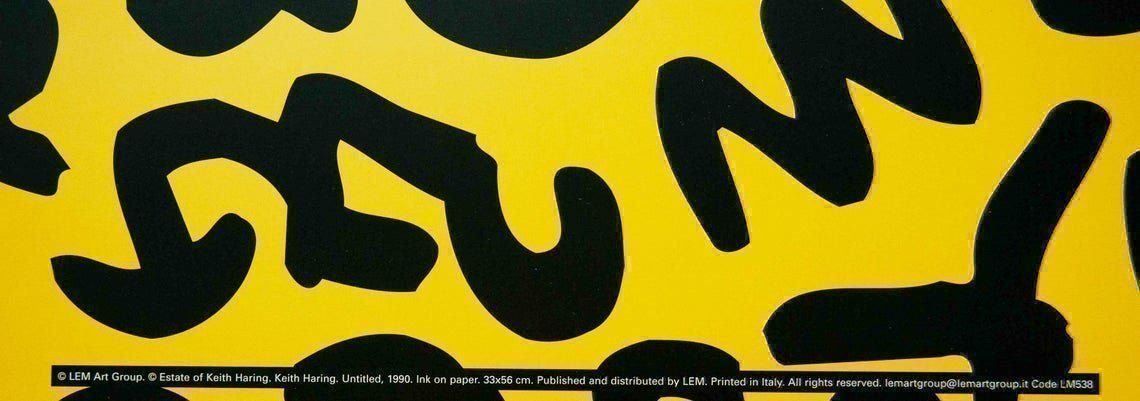 Foto & Immagini: Keith Haring - Seltenes Vintage Poster – Usato da Ponte Tresa venduto da 11GalleriaAlterEgo11 3