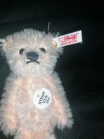 Steiff Club Teddy Bärli 2003, neuwertig, Rarität!