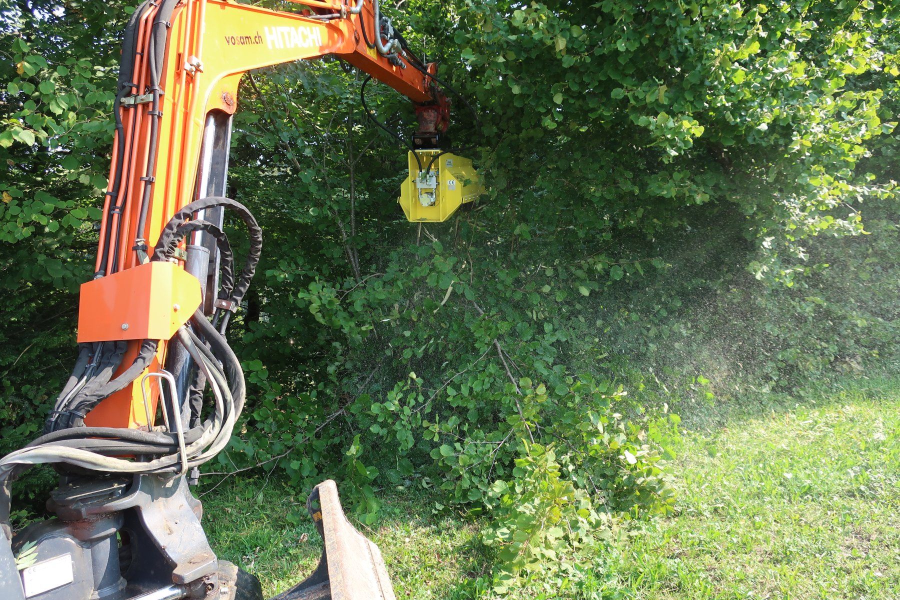 Escavatori: Mulcher 80 cm für Bagger – Nuovo e nell'imballaggio originale da Kastanienbaum venduto da acapulco 4