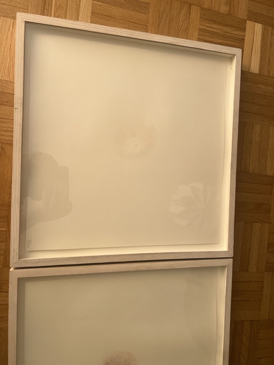 Dipinti: Brigid Polk Tits Paunting original – Usato da Zürich venduto da jao_2bx7 5