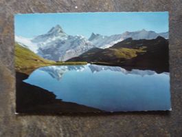 Postkarte Grindelwald Bachalpsee mit Schreckhorn Finstera...