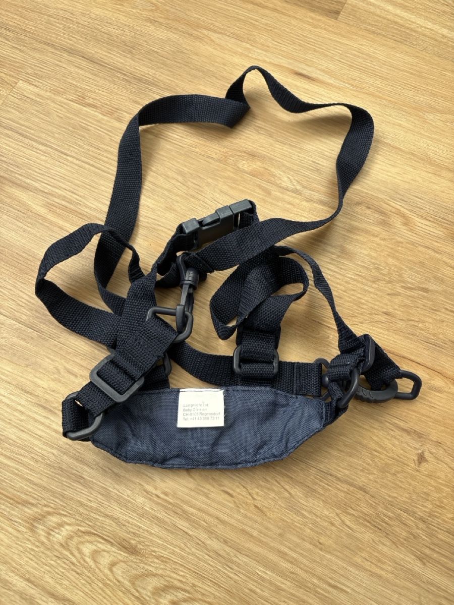 Attrezzatura da arrampicata: Sicherheitsgurt Kleinkind – Usato da Chur venduto da copino 1