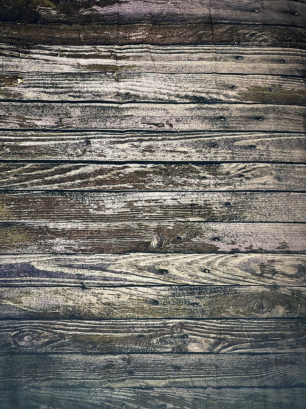 Altri Accessori: Fotohintergrund Fond tissu studio pro – Nuovo e nell'imballaggio originale da Ste-Croix venduto da Ziggi1111 1