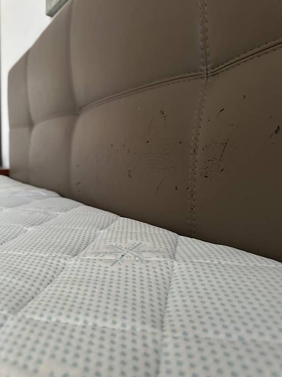 Letti: Boxspringbett Souplesse 180x200 cm / beige  – Usato da Zürich venduto da chr_t5nz 4