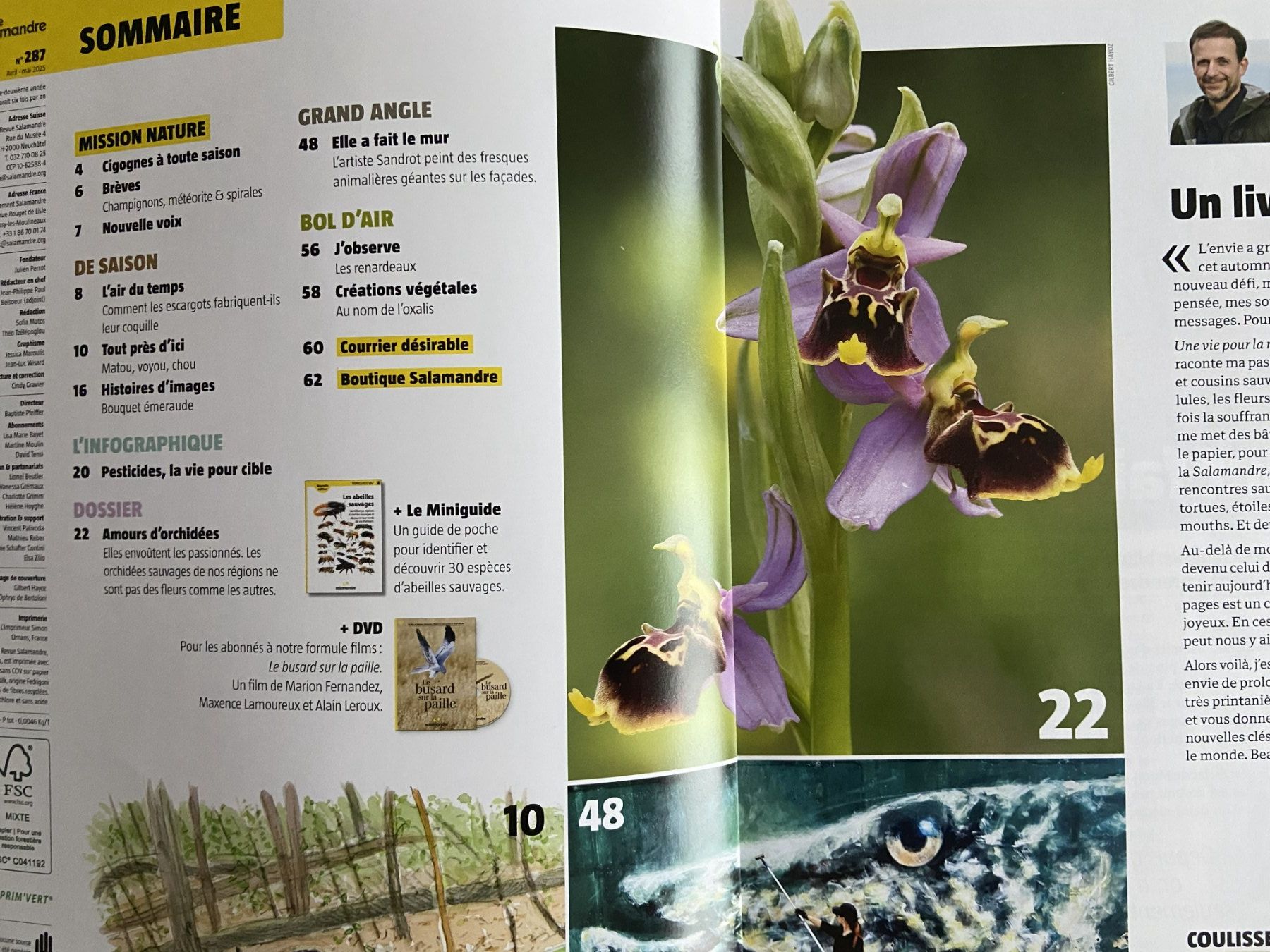 Riviste & Magazine: Revue Salamandre : Collection complète printemps en nature! – Nuovo (secondo la descrizione) da Neuchâtel venduto da marevecor 8