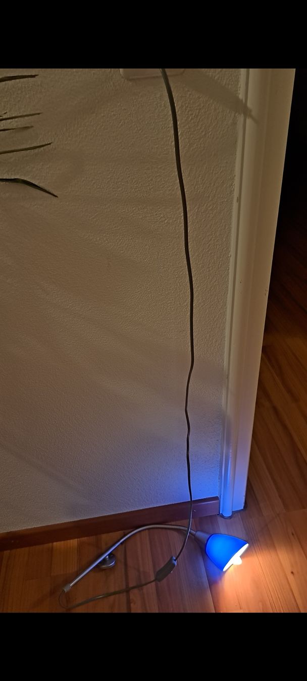 Lampade: Wandlampe blauer Schirm – Usato da Wolfenschiessen venduto da ren_j9zt 1