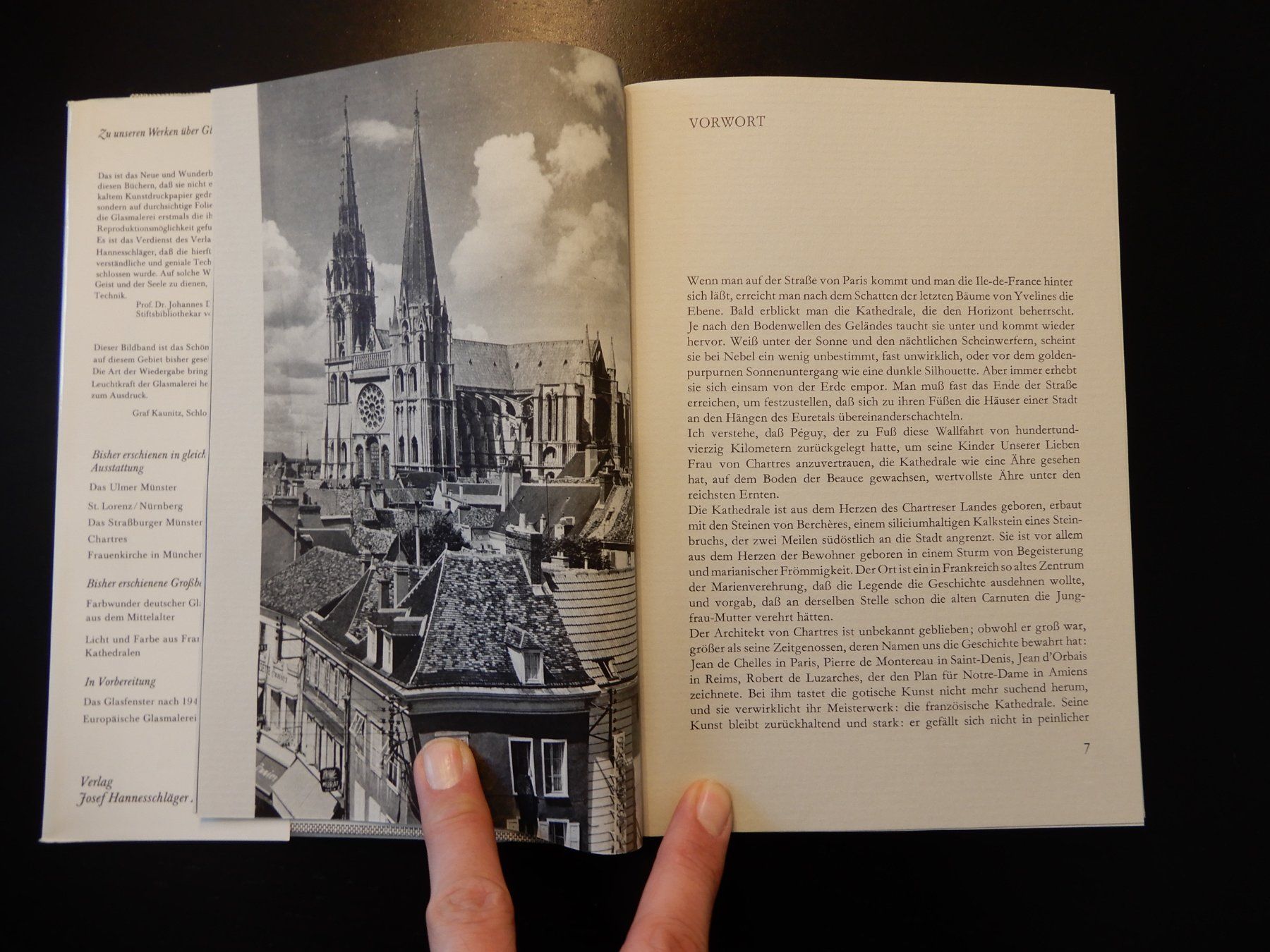 Libri: Kathedrale von Chartres - Glasmalereien Buch – Usato da Erstfeld venduto da Mario_boe0 5