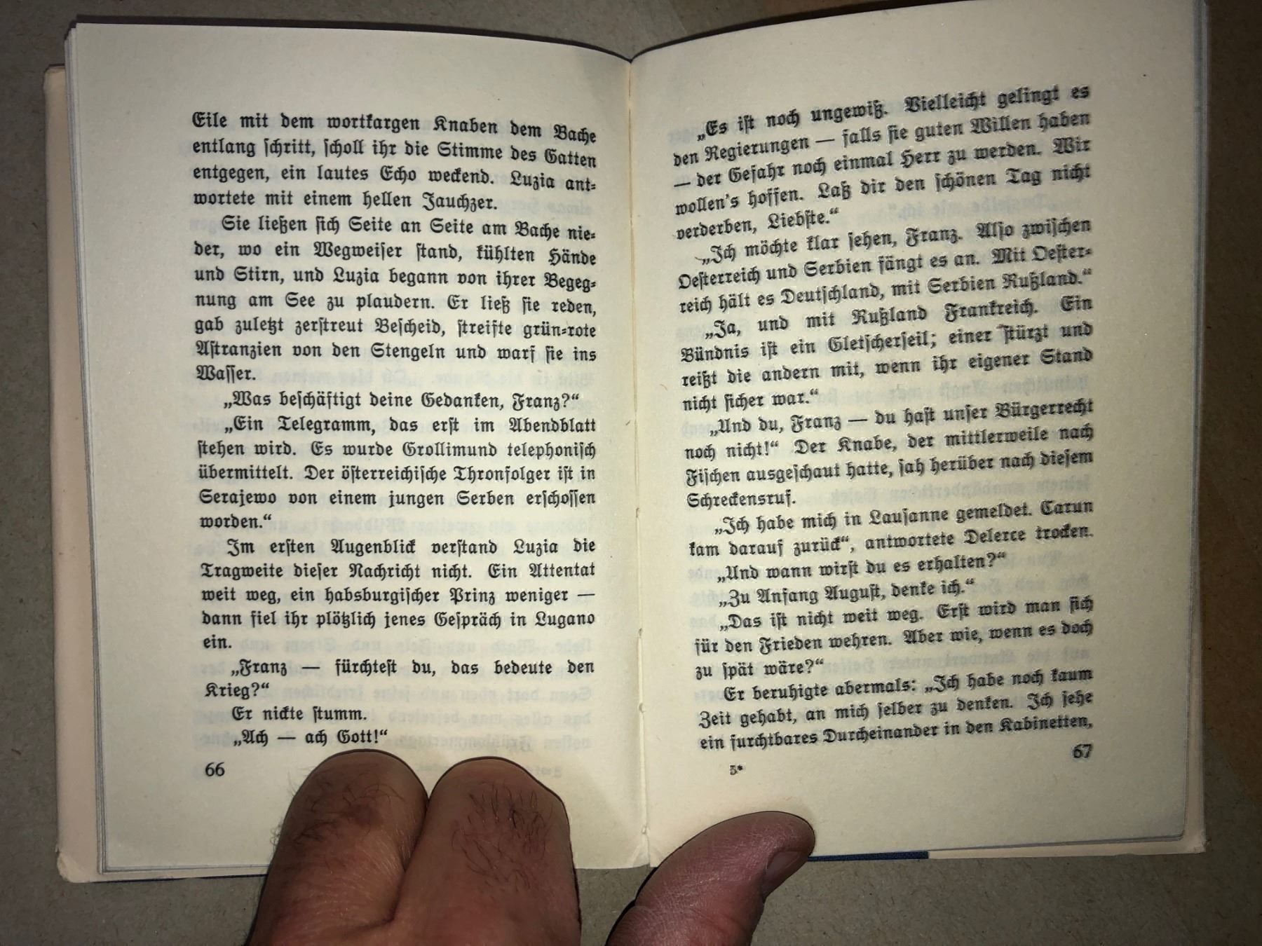 Libri: Nelly Zwicky: Das Aufgebot – Usato da Zürich venduto da allp 6