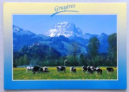 Gruyères, le château avec le Moléson