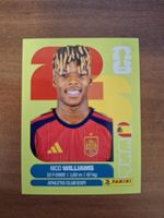 Panini Fifa WM 2026 - ESP 17