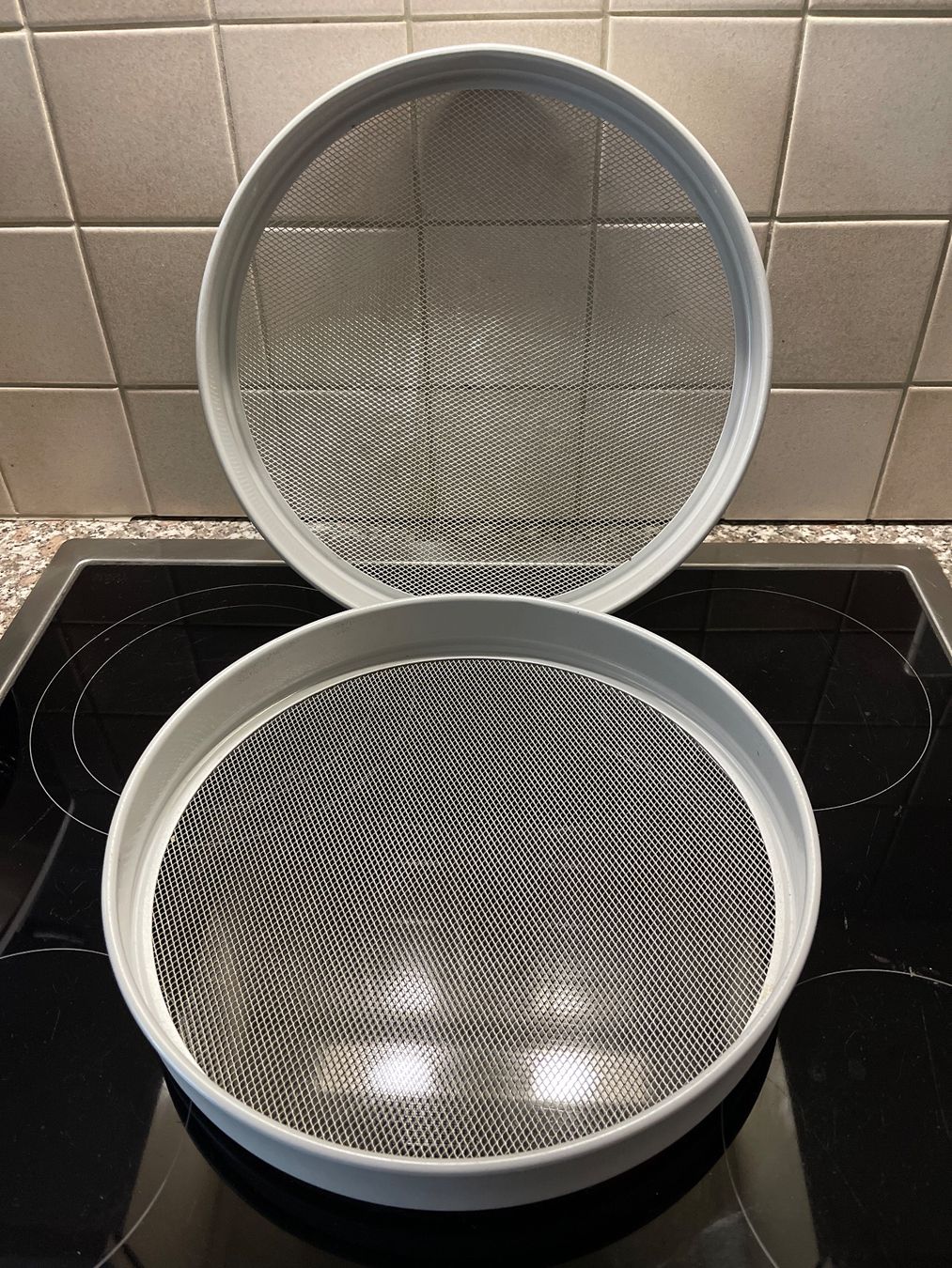 Sigg Küchengeräte: Dörrex Dörrgerät Metallgitter, 2 Stück grau – Gebraucht aus Mönchaltorf von Cochenille