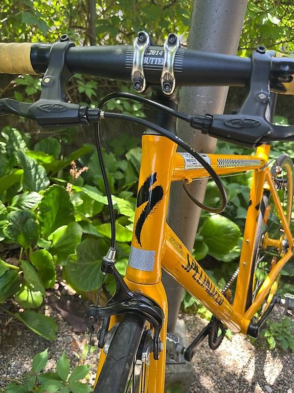 Specialized Vélos: Langster Specialized Single-Speed – D'occasion à Zürich par zueribieterin 4