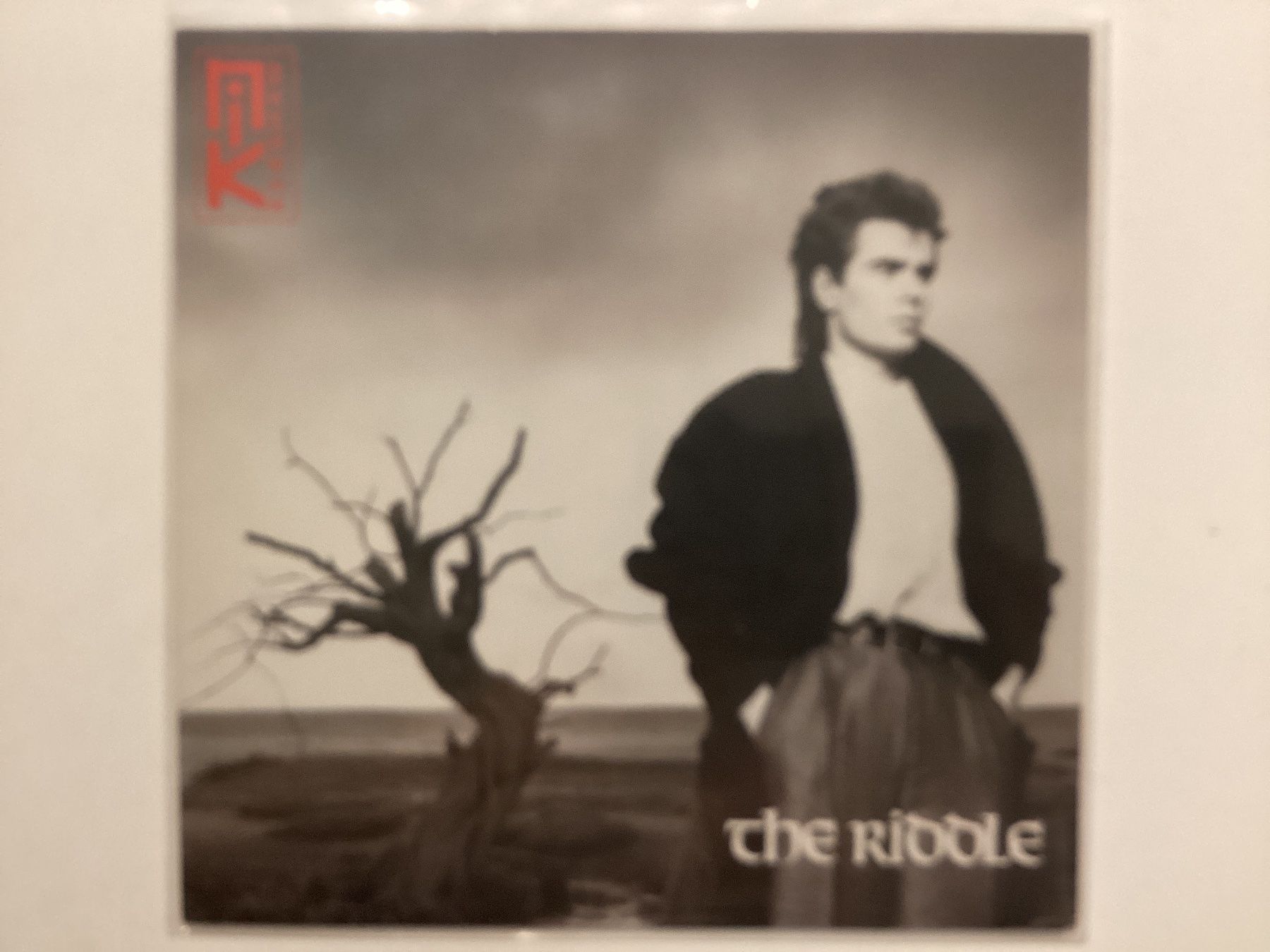 Dischi in vinile: Nik Kershaw LP - The Riddle – Usato da Gutenswil venduto da Hamzian
