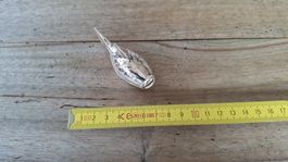 Kleiner Fisch für Assugrin