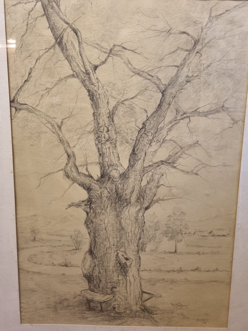 Gemälde: Zeichnung Baum Bleistift gerahmt – Gebraucht aus Schaffhausen von Leveron13 1