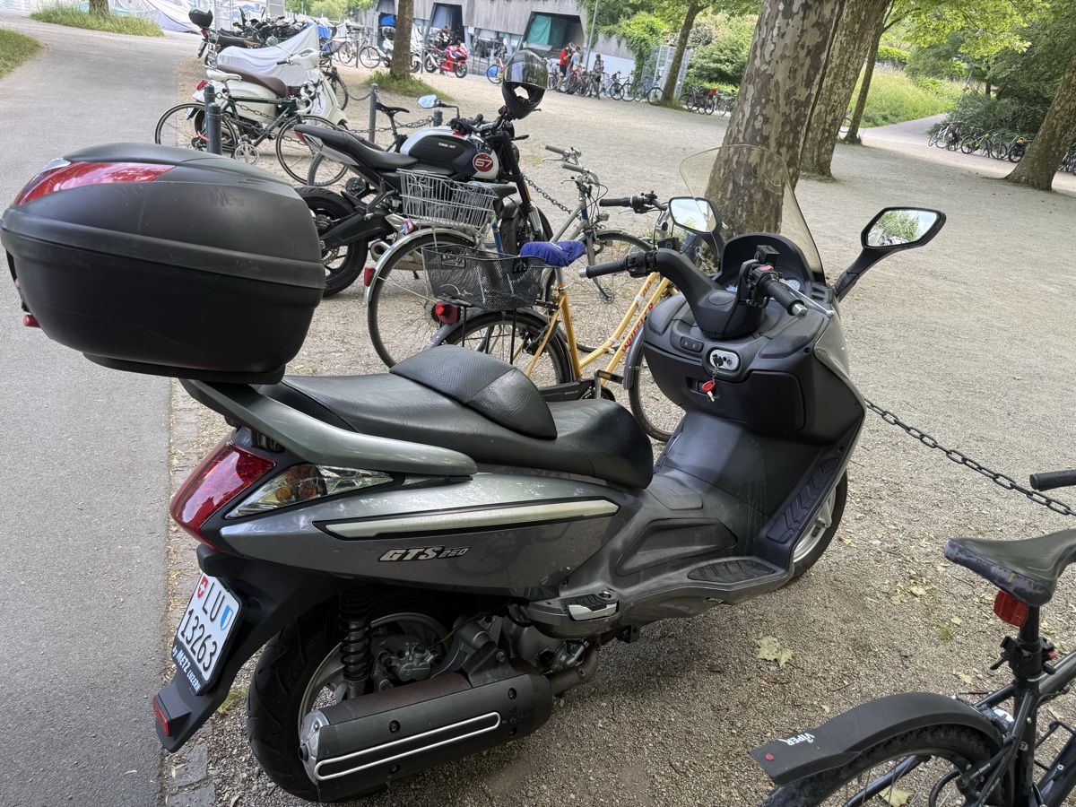 Sym Scooter: Sym 250 30.000km – Usato da Luzern venduto da TheDoctor05 2