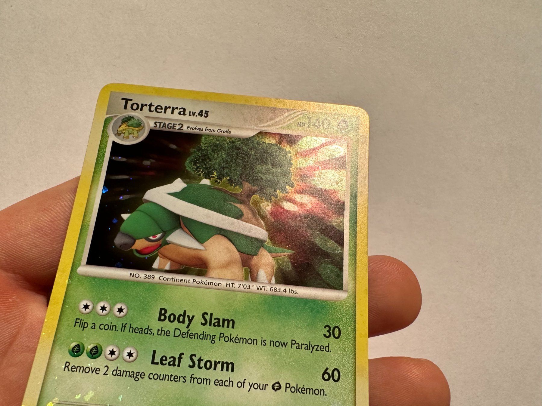 Pokémon Carte collezionabili: Torterra holo bleed Diamond & Pearl Base EN – Usato da Hagendorn venduto da Pokecollectorch 2