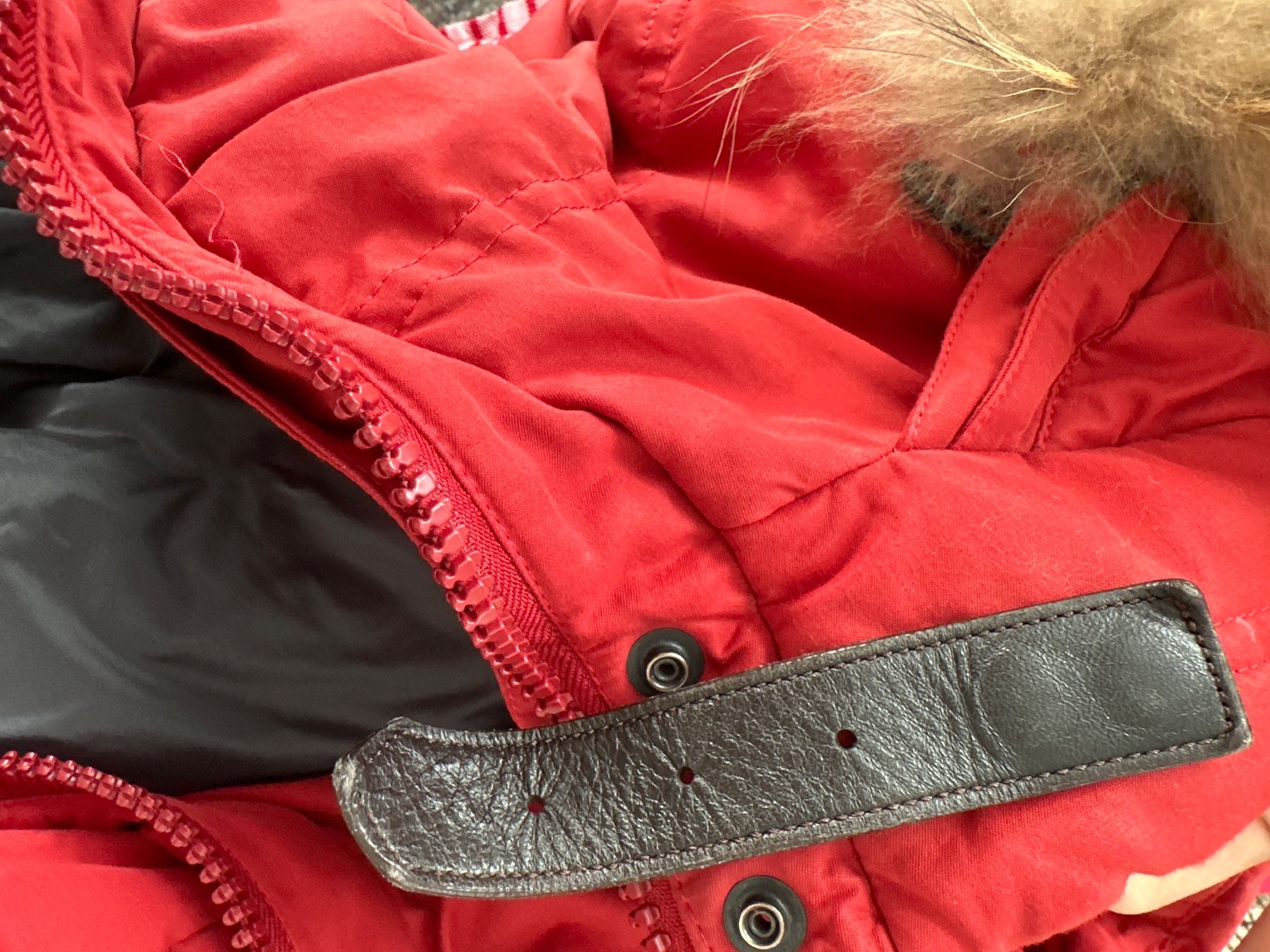 Jacken: René Lezard Herren Winterjacke rot – Gebraucht aus Zug von Hehe 9