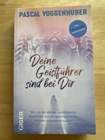 Deine Geistführer sind bei Dir - Pascal Voggenhuber 