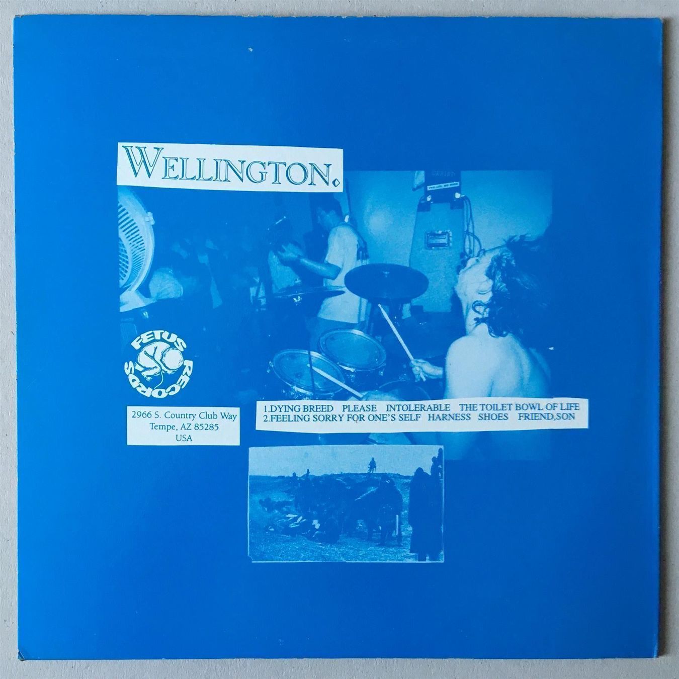 Vinyles: Wellington – LP Hardcore Emo Metalcore 1996 – D'occasion à Berneck par rye7778 1