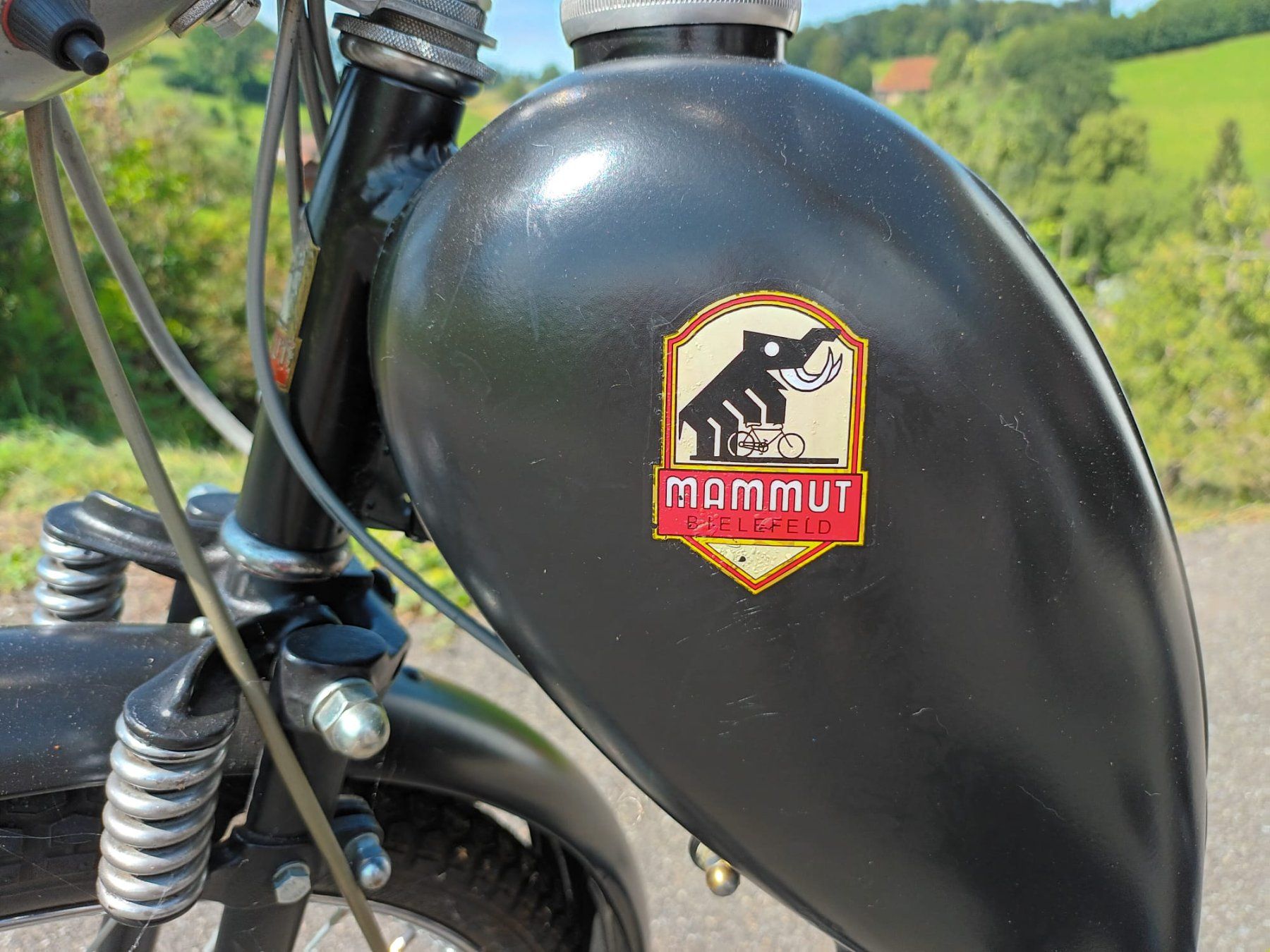 Ciclomotori: Sachs Mammut – Usato da Gwatt (Thun) venduto da wel_zpq6 5