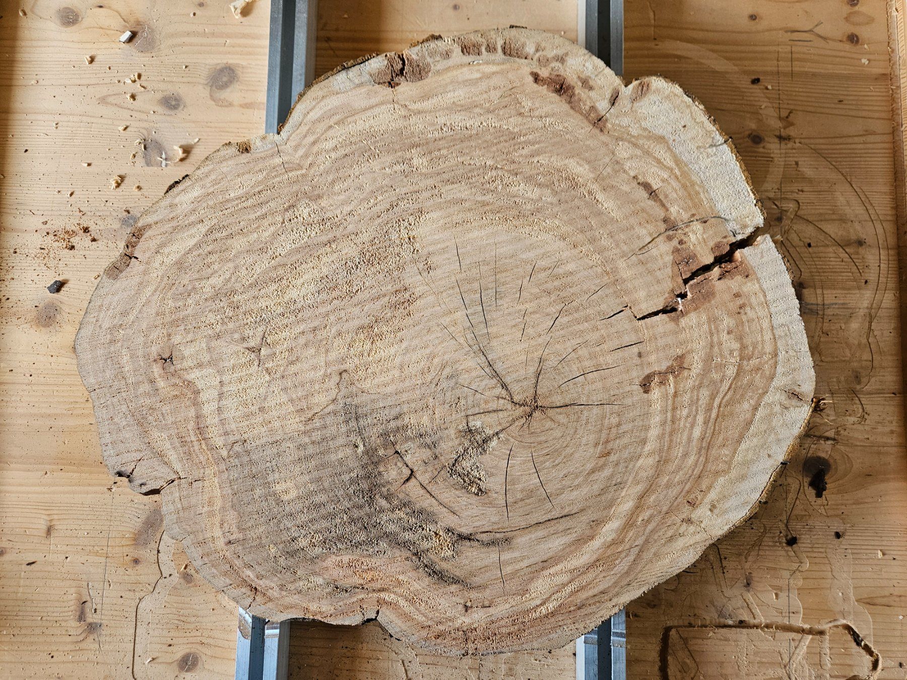 Articles en bois: Baumscheibe Kirschbaum Holz – Neuf (Voir description) à Schangnau par egli6.2 2