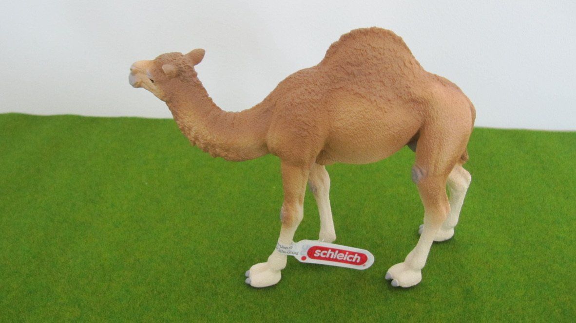 Schleich Giocattoli: Schleich Dromedar & Skorpion – Nuovo (secondo la descrizione) da Brunnen venduto da Kiwiland1 2